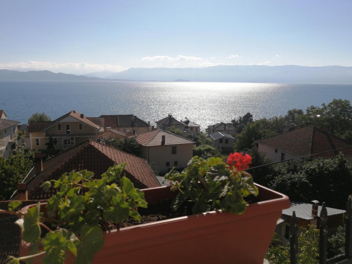 Vila Vista Magica Radozda Struga Buitenkant foto